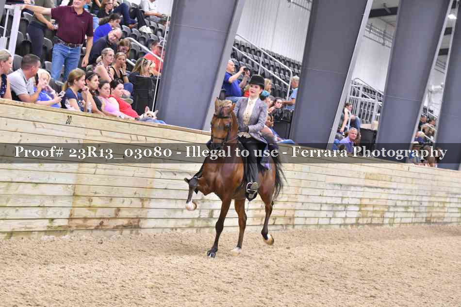 Proof 23R13_03080