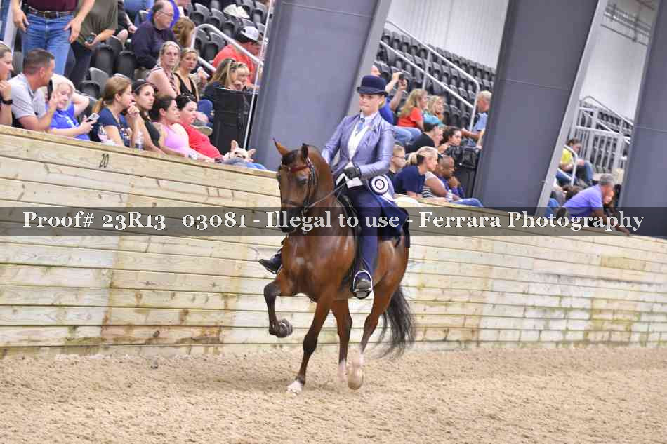 Proof 23R13_03081