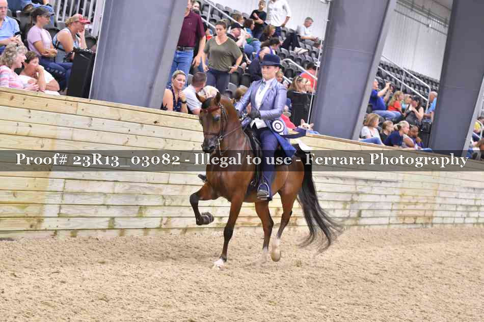 Proof 23R13_03082