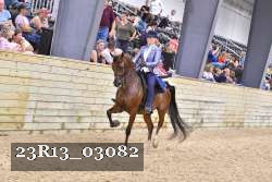 23R13_03082 proof