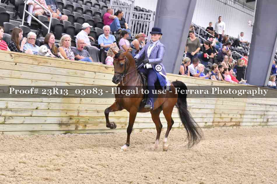 Proof 23R13_03083