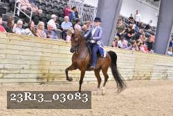 23R13_03083 proof