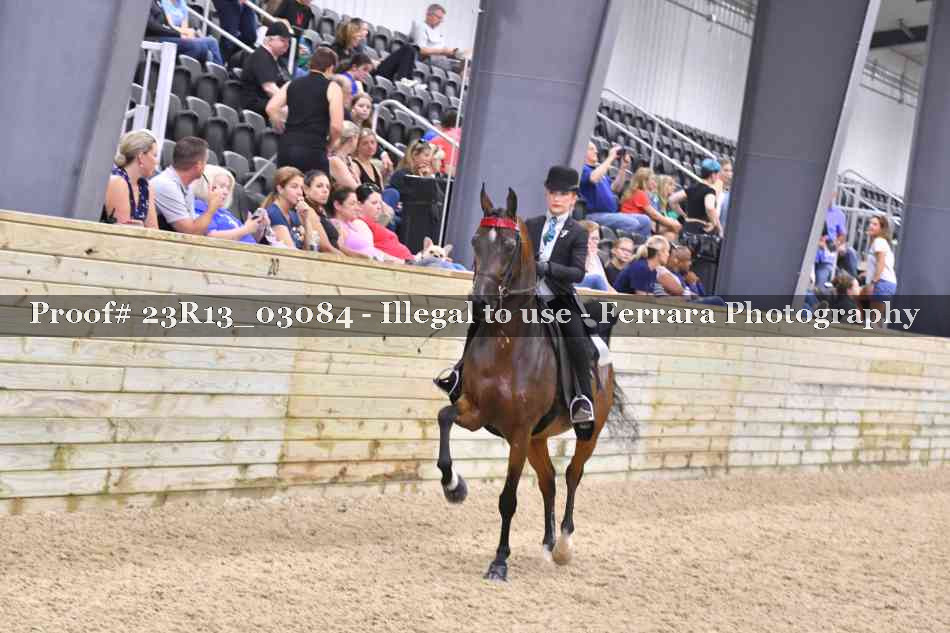 Proof 23R13_03084