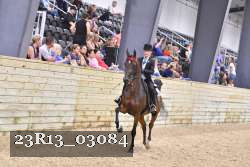 23R13_03084 proof