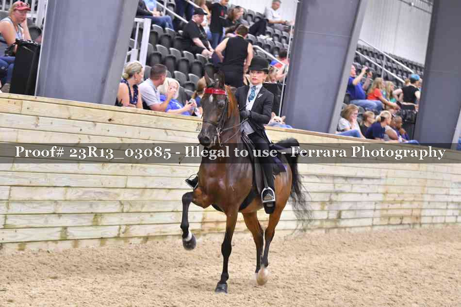 Proof 23R13_03085