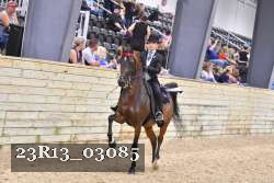23R13_03085 proof