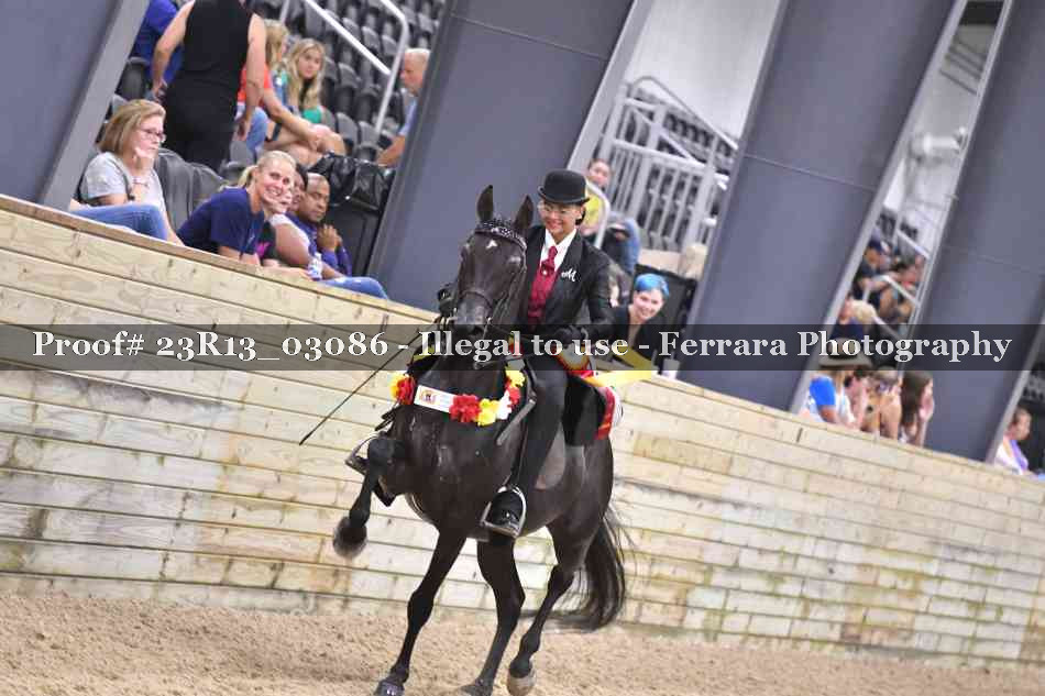 Proof 23R13_03086