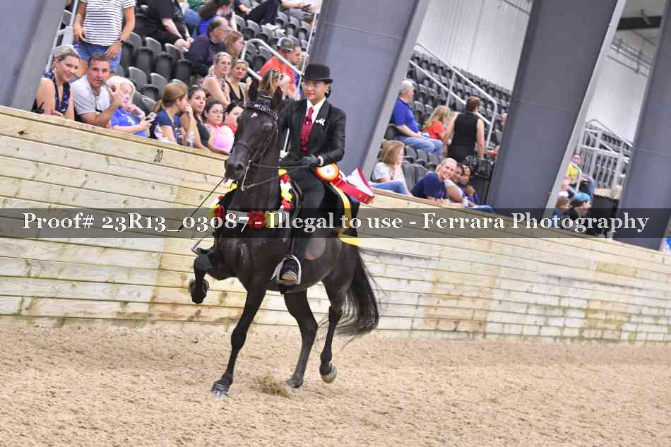Proof 23R13_03087