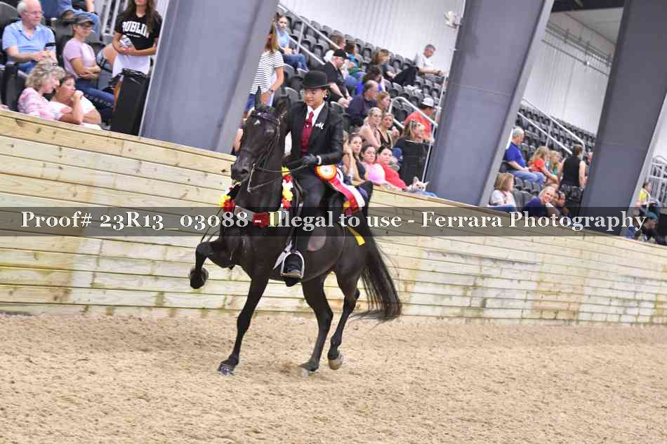 Proof 23R13_03088