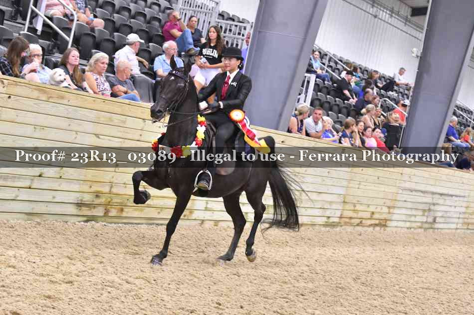 Proof 23R13_03089