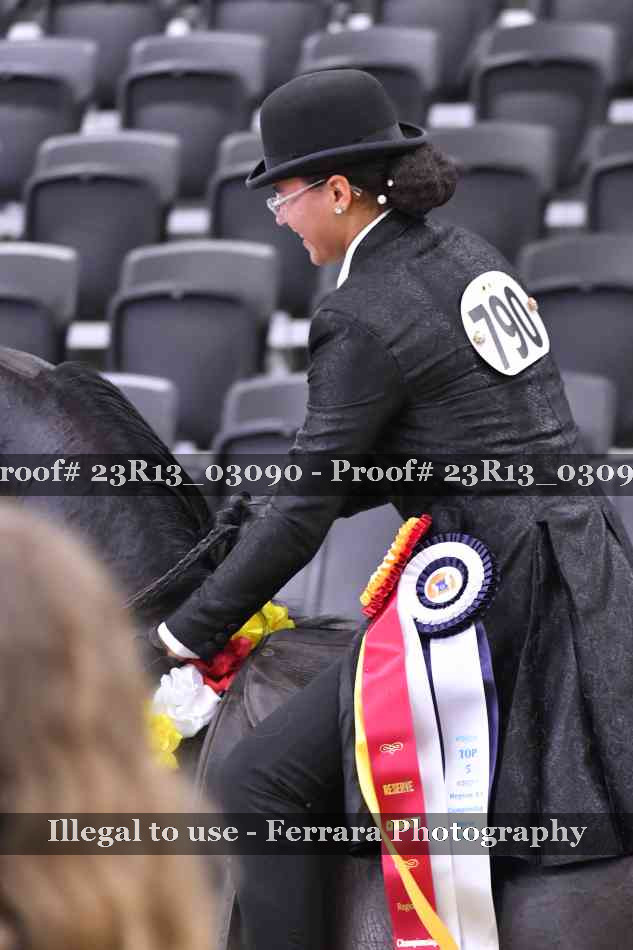Proof 23R13_03090