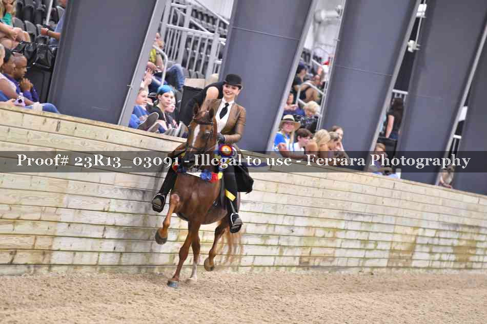 Proof 23R13_03091