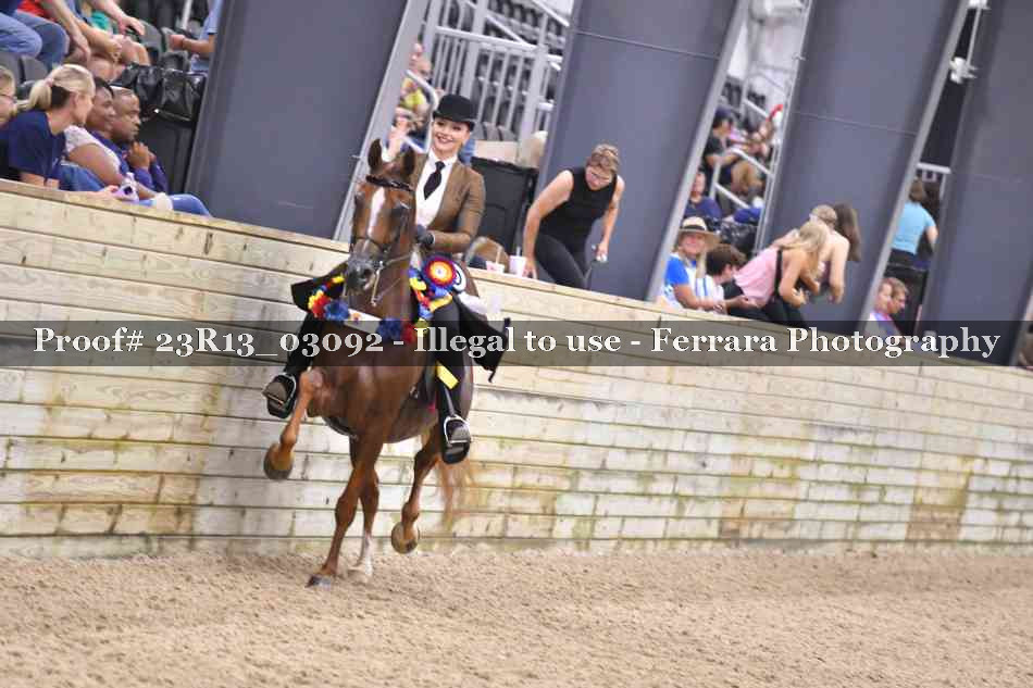 Proof 23R13_03092