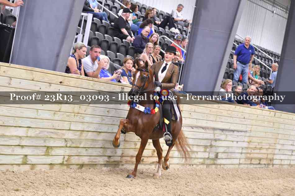 Proof 23R13_03093