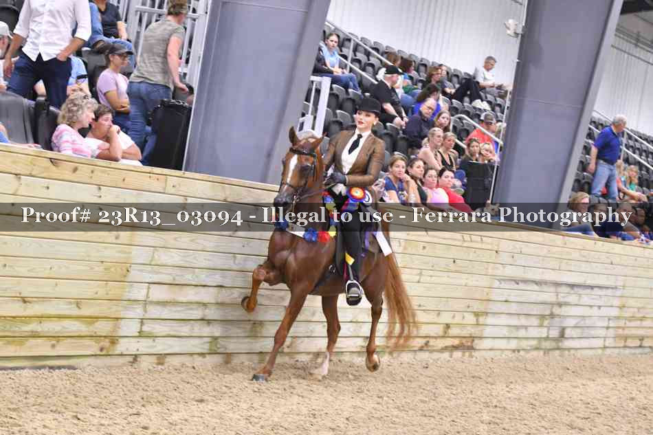 Proof 23R13_03094