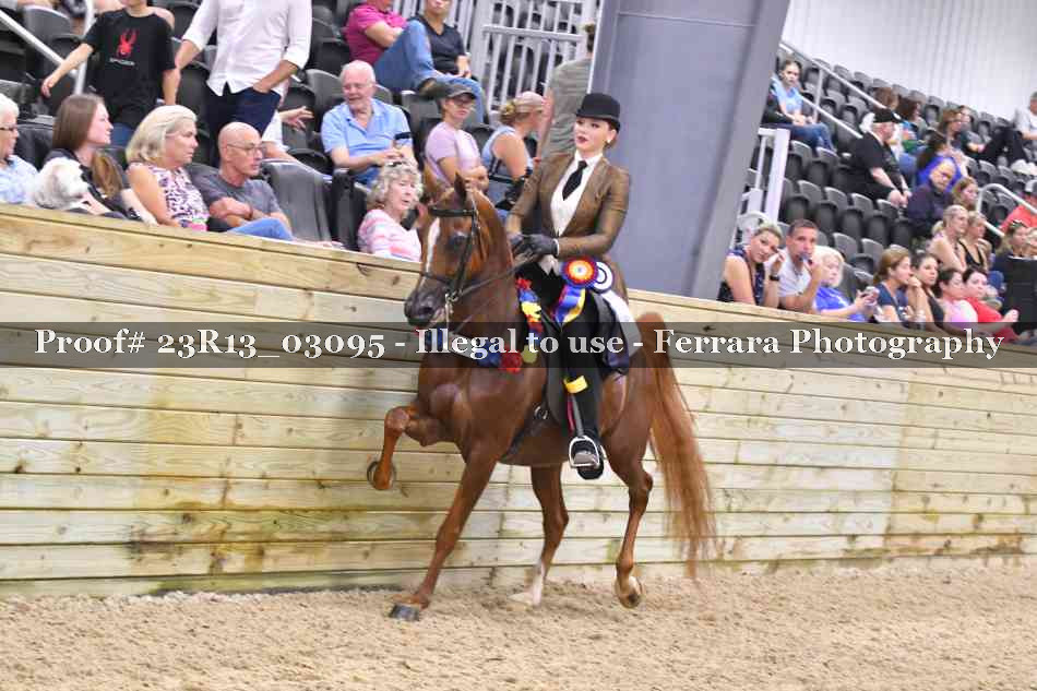 Proof 23R13_03095