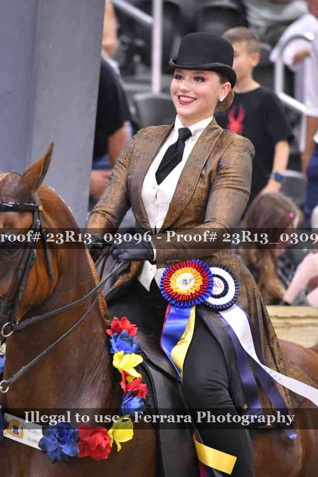 Proof 23R13_03096