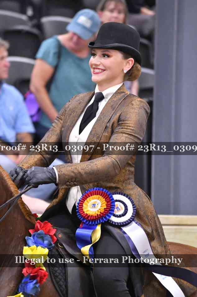 Proof 23R13_03097