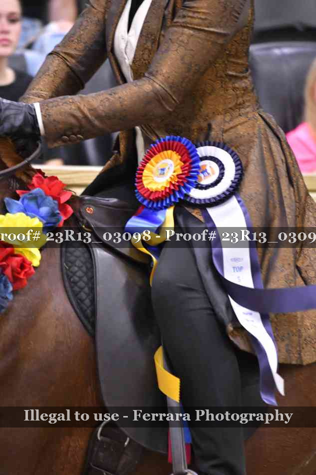 Proof 23R13_03098