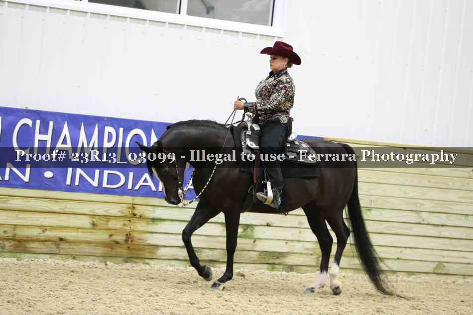 Proof 23R13_03099