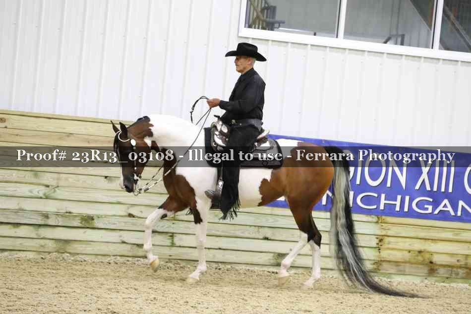 Proof 23R13_03108