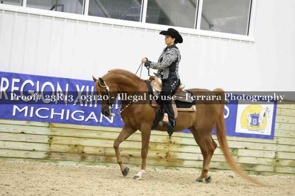 Proof 23R13_03120
