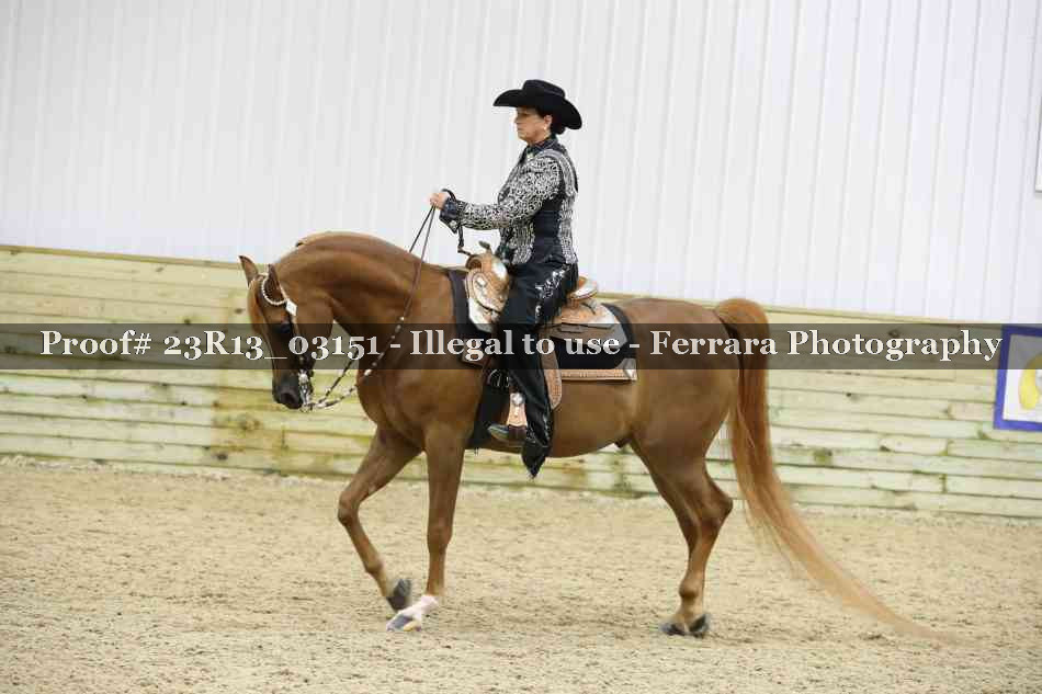 Proof 23R13_03151