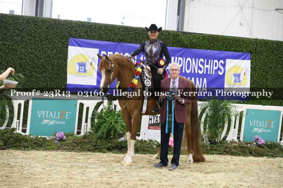 Proof 23R13_03166