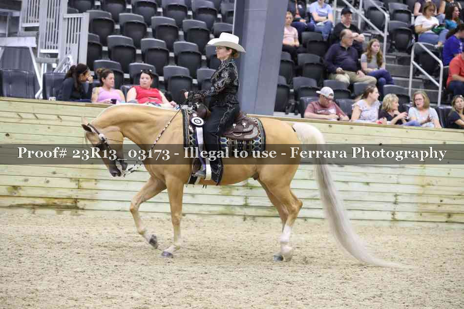 Proof 23R13_03173