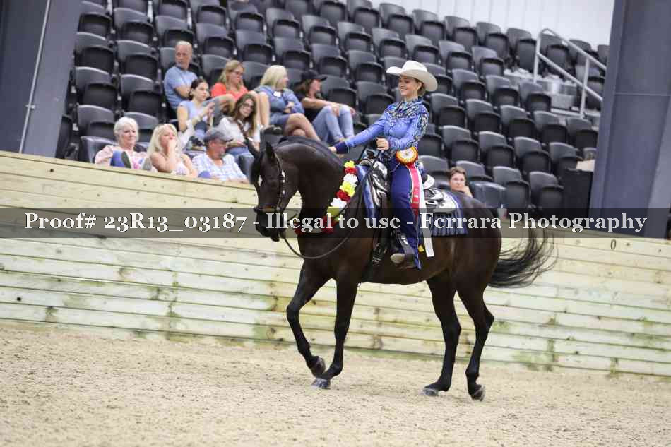 Proof 23R13_03187