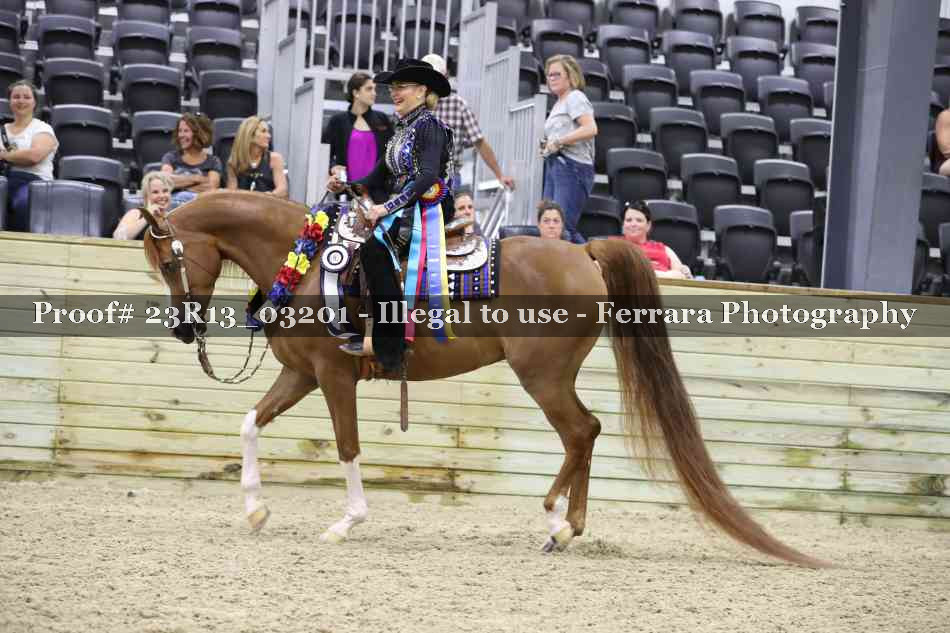Proof 23R13_03201