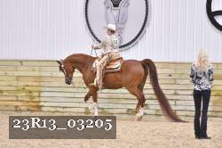 23R13_03205 proof