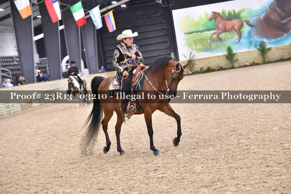 Proof 23R13_03210