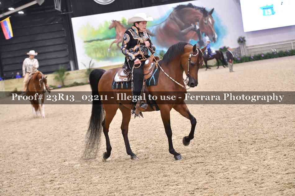 Proof 23R13_03211