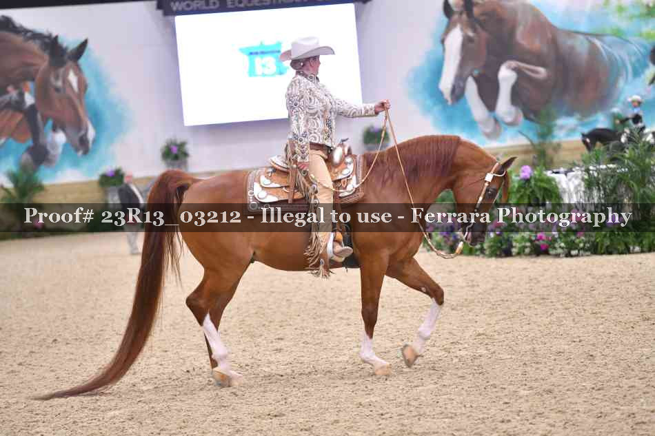Proof 23R13_03212
