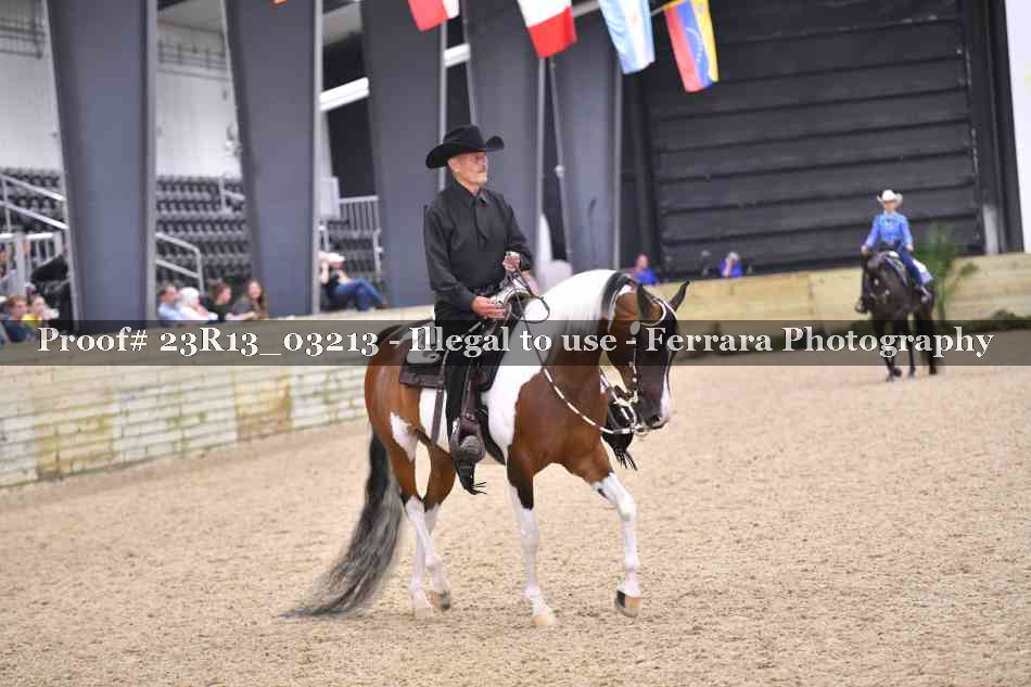 Proof 23R13_03213