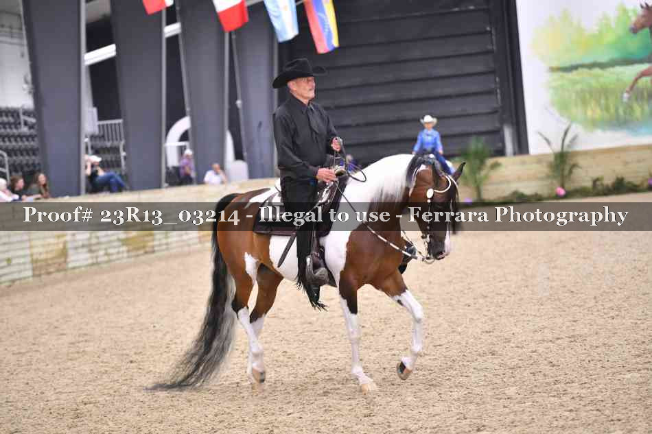 Proof 23R13_03214