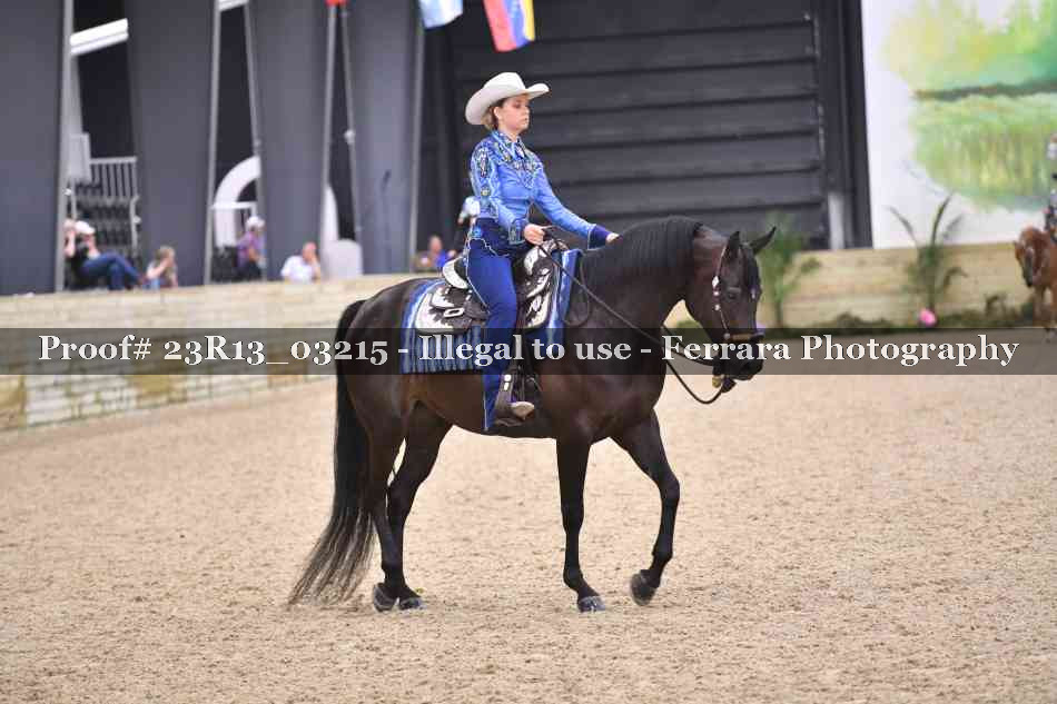 Proof 23R13_03215