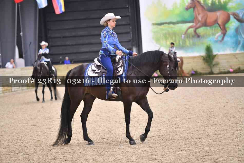 Proof 23R13_03216