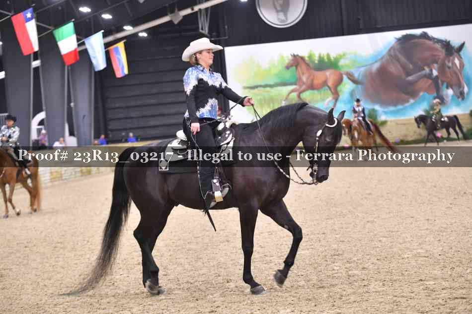 Proof 23R13_03217
