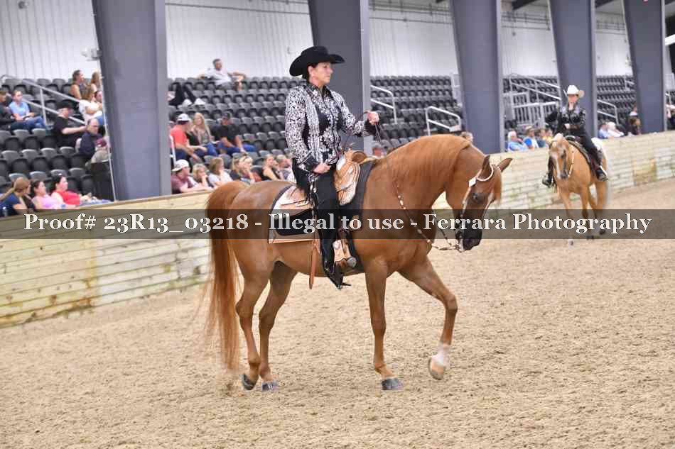 Proof 23R13_03218