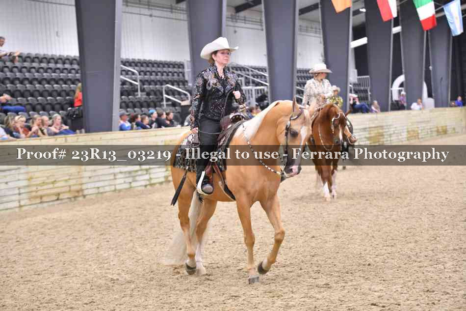 Proof 23R13_03219