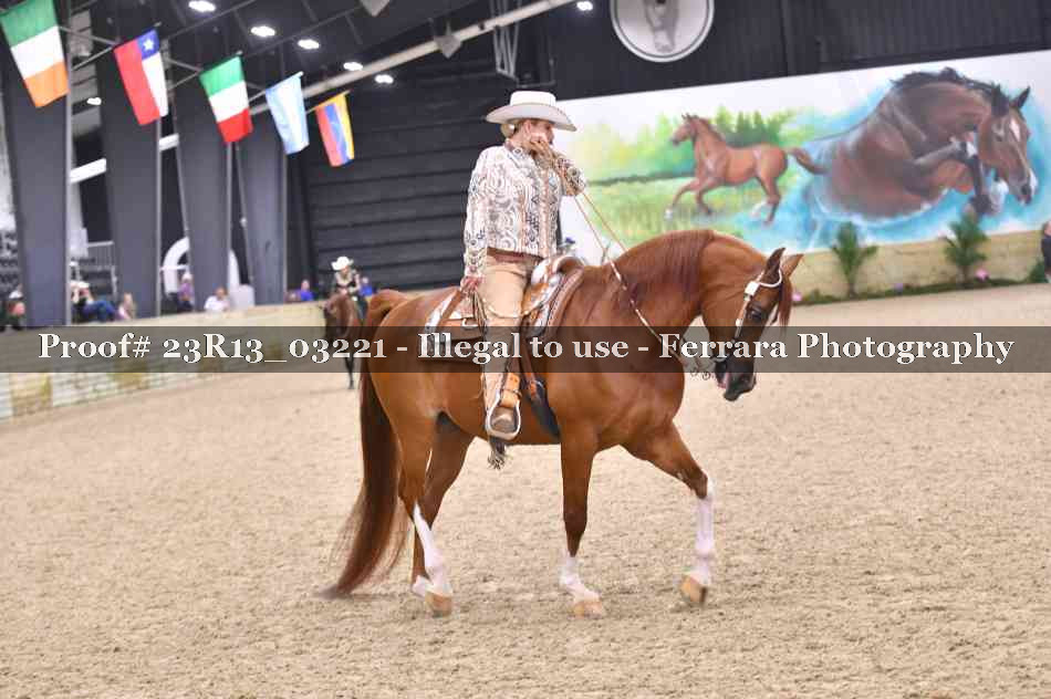 Proof 23R13_03221