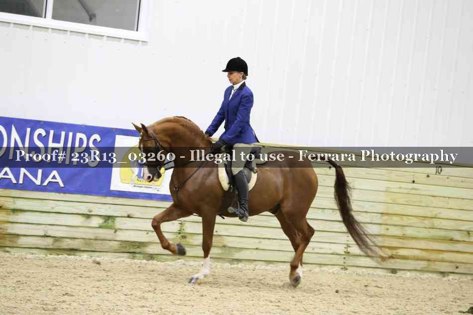 Proof 23R13_03260
