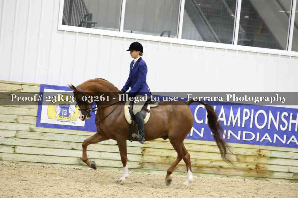 Proof 23R13_03261