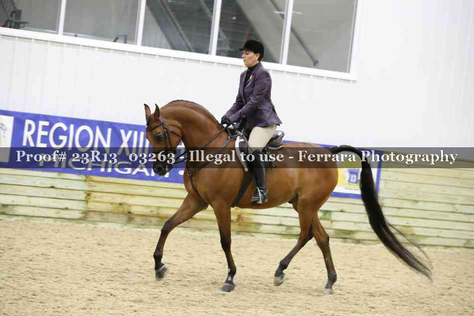 Proof 23R13_03263