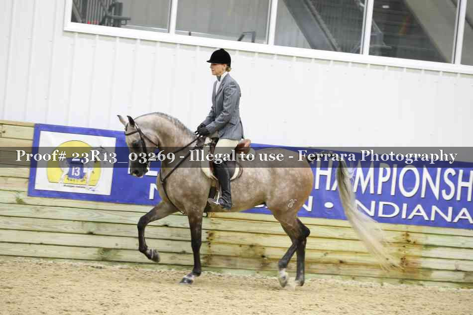 Proof 23R13_03269