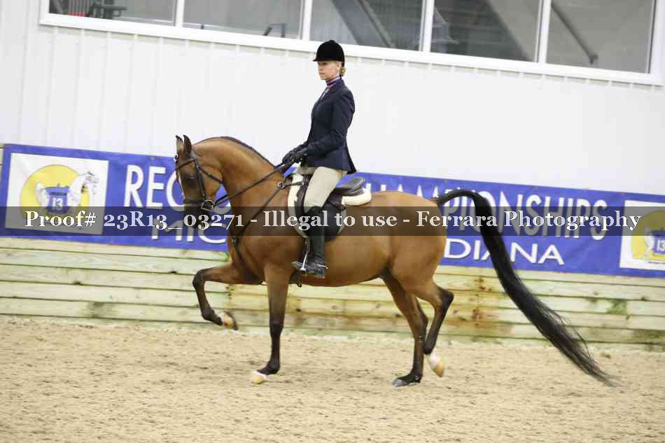 Proof 23R13_03271