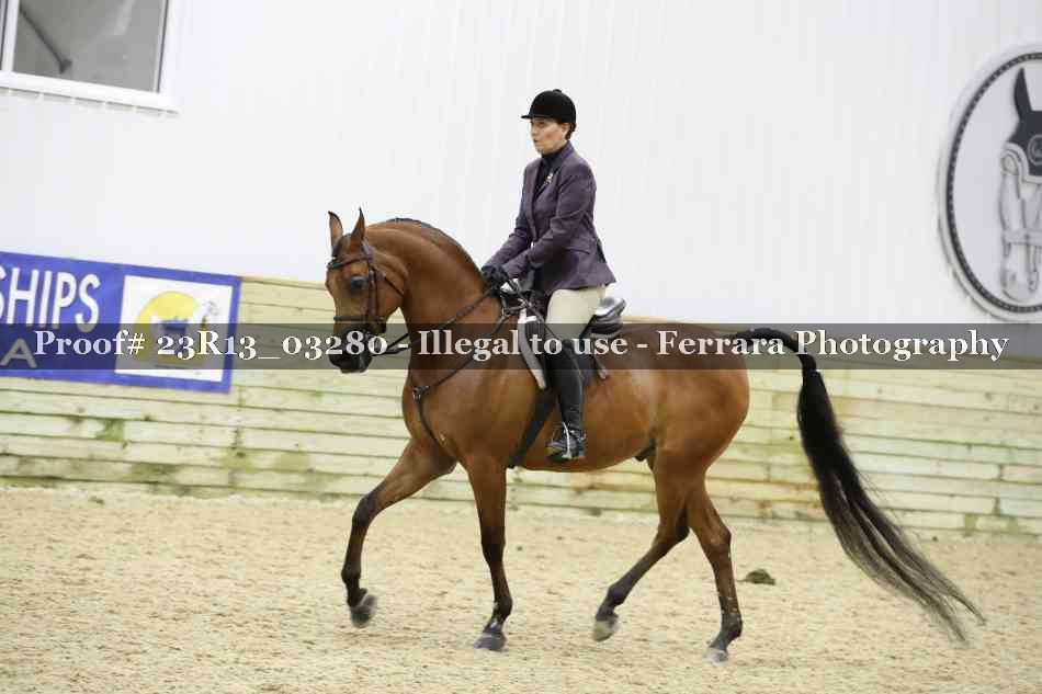 Proof 23R13_03280