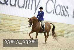 23R13_03281 proof